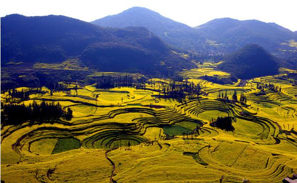 昆明羅平旅游最佳時(shí)間|羅平油菜花海2日游|羅平旅游線路|昆明周邊跟團(tuán)游